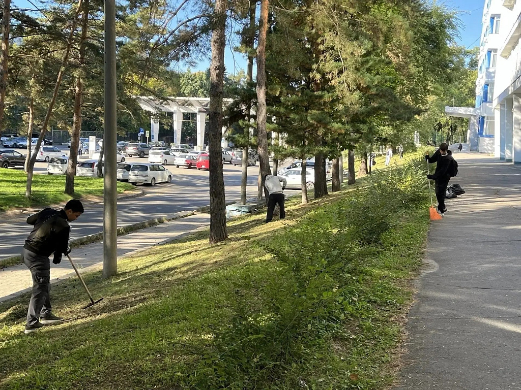В осенней уборке города приняли участие более 37 тысяч хабаровчан Пресс-служба администрации Хабаровска